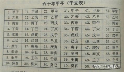 1983 天干地支|1983年12月22日是什么天干地支，六十甲子干支查询农历一九八。